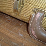 Fender Guitar Case