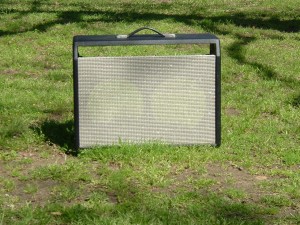 Custom 2*10 Combo Cabinet for a Fender Blackface Bassman