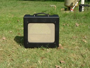 Fender Stylke TV Front Combo Cabinet, Blackface Scheme