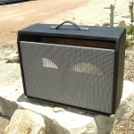Custom Fender Vibrolucx 2*10 Replacement Cabinet