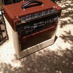 Custom Amplifier Cabinet for a Laney Tube Amplifier made by Armadillo Amp Works